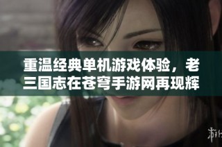 重温经典单机游戏体验，老三国志在苍穹手游网再现辉煌
