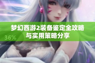 梦幻西游2装备鉴定全攻略与实用策略分享