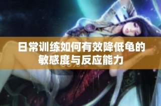 日常训练如何有效降低龟的敏感度与反应能力