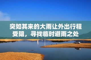 突如其来的大雨让外出行程受阻，寻找临时避雨之处