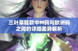 三叶草鞋款中M码与欧洲码之间的详细差异解析