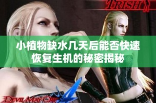 小植物缺水几天后能否快速恢复生机的秘密揭秘