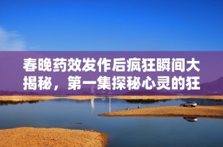 春晚药效发作后疯狂瞬间大揭秘，第一集探秘心灵的狂欢