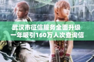武汉市征信服务全面升级 一年吸引160万人次查询信用报告