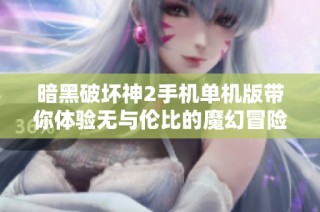 暗黑破坏神2手机单机版带你体验无与伦比的魔幻冒险旅程