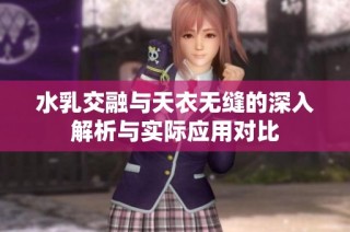 水乳交融与天衣无缝的深入解析与实际应用对比
