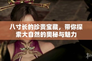 八寸长的珍贵宝藏，带你探索大自然的奥秘与魅力