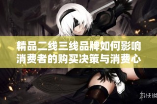 精品二线三线品牌如何影响消费者的购买决策与消费心理