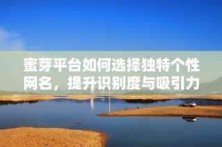 蜜芽平台如何选择独特个性网名，提升识别度与吸引力