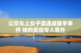 公交车上女子遭遇咸猪手事件 她的反应令人意外