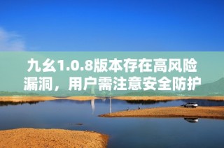 九幺1.0.8版本存在高风险漏洞，用户需注意安全防护措施