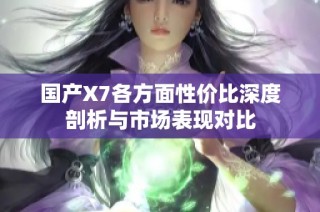 国产X7各方面性价比深度剖析与市场表现对比