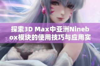 探索3D Max中亚洲Ninebox模块的使用技巧与应用实例