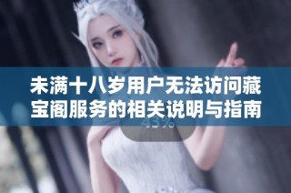 未满十八岁用户无法访问藏宝阁服务的相关说明与指南