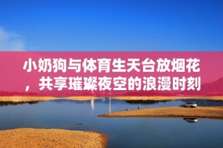 小奶狗与体育生天台放烟花，共享璀璨夜空的浪漫时刻