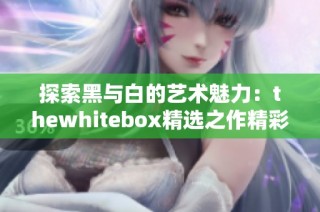 探索黑与白的艺术魅力：thewhitebox精选之作精彩呈现