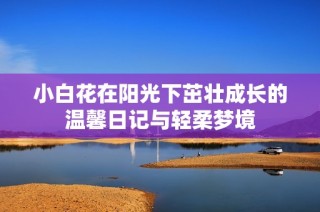 小白花在阳光下茁壮成长的温馨日记与轻柔梦境