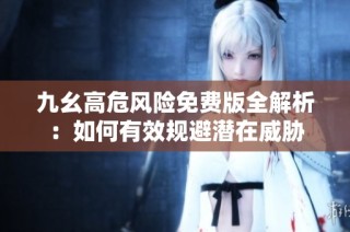 九幺高危风险免费版全解析：如何有效规避潜在威胁