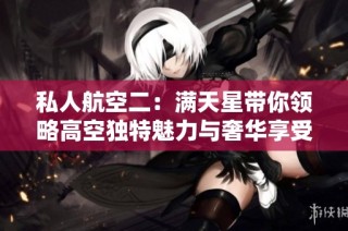 私人航空二：满天星带你领略高空独特魅力与奢华享受
