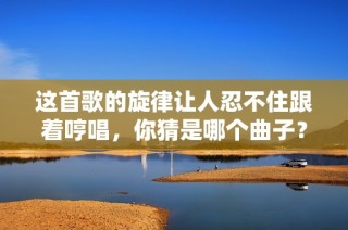 这首歌的旋律让人忍不住跟着哼唱，你猜是哪个曲子？