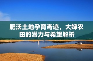 肥沃土地孕育奇迹，大婶农田的潜力与希望解析