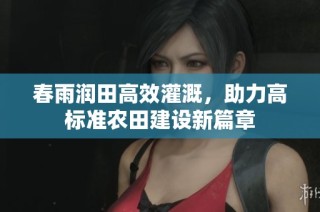 春雨润田高效灌溉，助力高标准农田建设新篇章