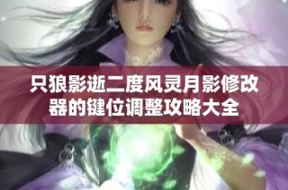 只狼影逝二度风灵月影修改器的键位调整攻略大全