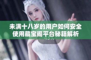 未满十八岁的用户如何安全使用藏宝阁平台秘籍解析