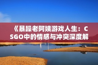 《暴躁老阿姨游戏人生：CSGO中的情感与冲突深度解析》