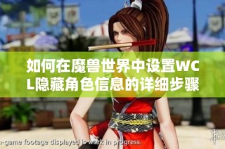 如何在魔兽世界中设置WCL隐藏角色信息的详细步骤