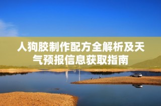 人狗胶制作配方全解析及天气预报信息获取指南