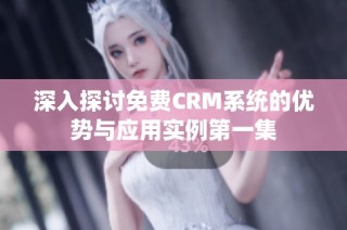 深入探讨免费CRM系统的优势与应用实例第一集