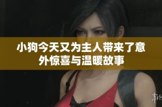 小狗今天又为主人带来了意外惊喜与温暖故事