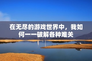 在无尽的游戏世界中，我如何一一破解各种难关