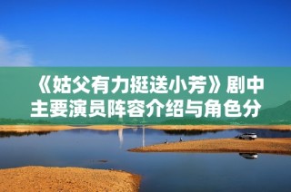 《姑父有力挺送小芳》剧中主要演员阵容介绍与角色分析