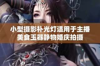 小型摄影补光灯适用于主播美食玉器静物婚庆拍摄