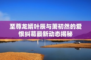 至尊龙婿叶辰与萧初然的爱恨纠葛最新动态揭秘