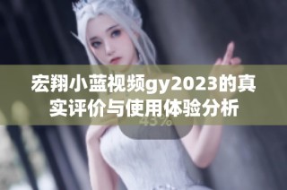 宏翔小蓝视频gy2023的真实评价与使用体验分析