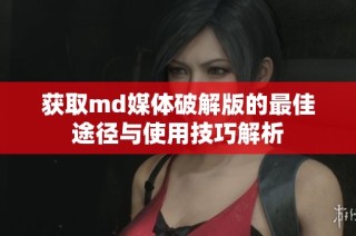 获取md媒体破解版的最佳途径与使用技巧解析