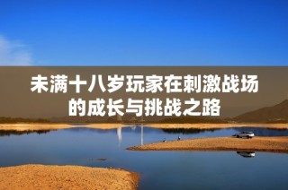未满十八岁玩家在刺激战场的成长与挑战之路