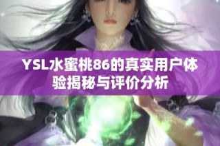 YSL水蜜桃86的真实用户体验揭秘与评价分析