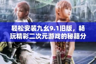 轻松安装九幺9.1旧版，畅玩精彩二次元游戏的秘籍分享