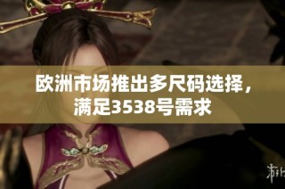 欧洲市场推出多尺码选择，满足3538号需求