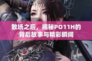 散场之后，揭秘PO11H的背后故事与精彩瞬间