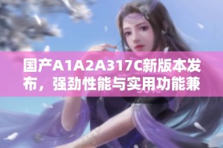 国产A1A2A317C新版本发布，强劲性能与实用功能兼具