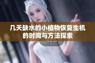 几天缺水的小植物恢复生机的时间与方法探索