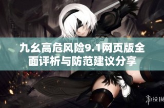 九幺高危风险9.1网页版全面评析与防范建议分享