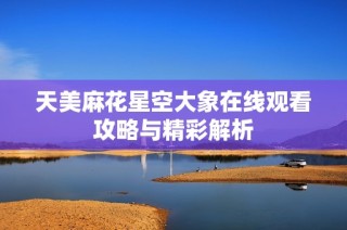 天美麻花星空大象在线观看攻略与精彩解析