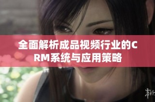 全面解析成品视频行业的CRM系统与应用策略