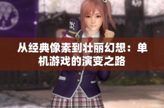 从经典像素到壮丽幻想：单机游戏的演变之路